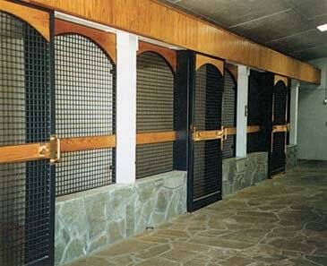 Lucas Equine Equipment