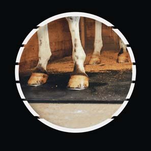 Northwest Rubber Mats