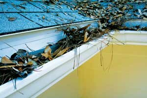 Southeastern gutter without Clean Mesh